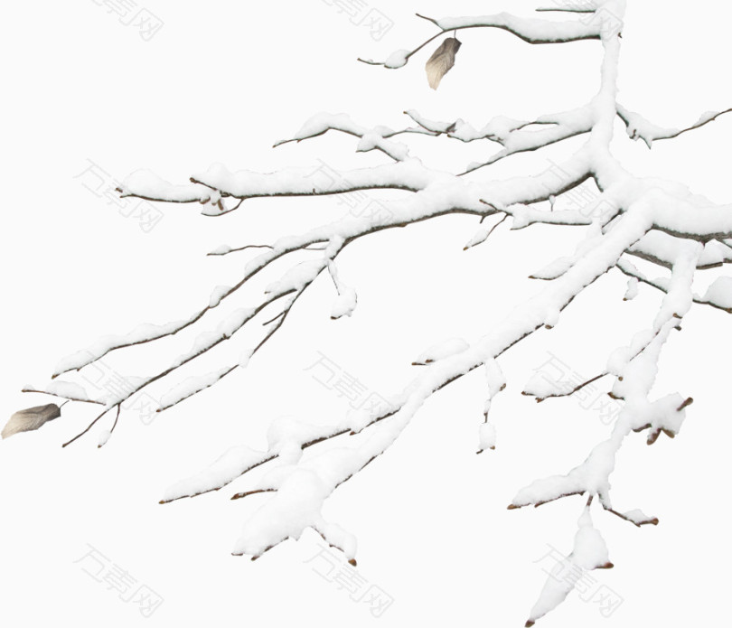 高清冬季树枝雪花装饰