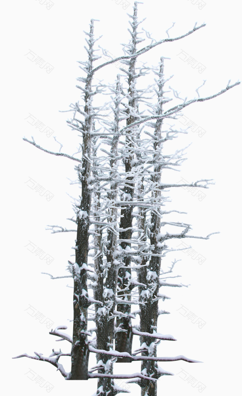 冬天冰雪树枝主题海报