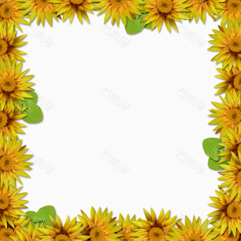 黄色菊花相框