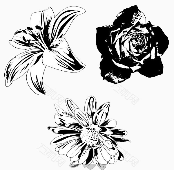 黑白花朵素材