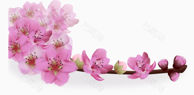 粉色樱花感恩卡素材