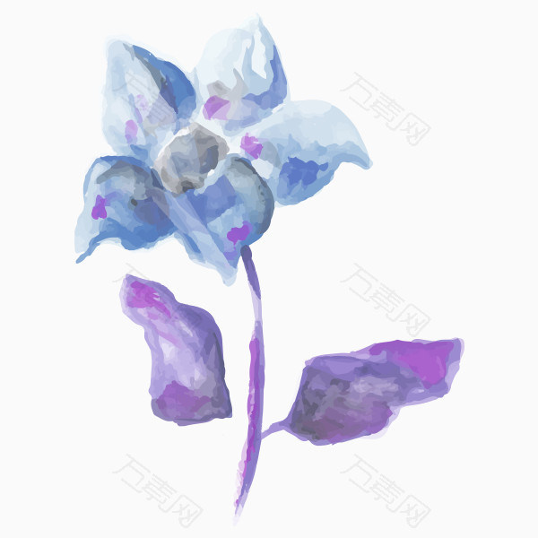 蓝紫色水彩花朵