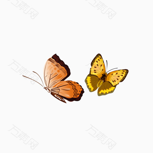 两只飞舞蝴蝶