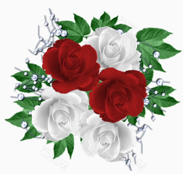 卡通手绘红白色鲜艳玫瑰