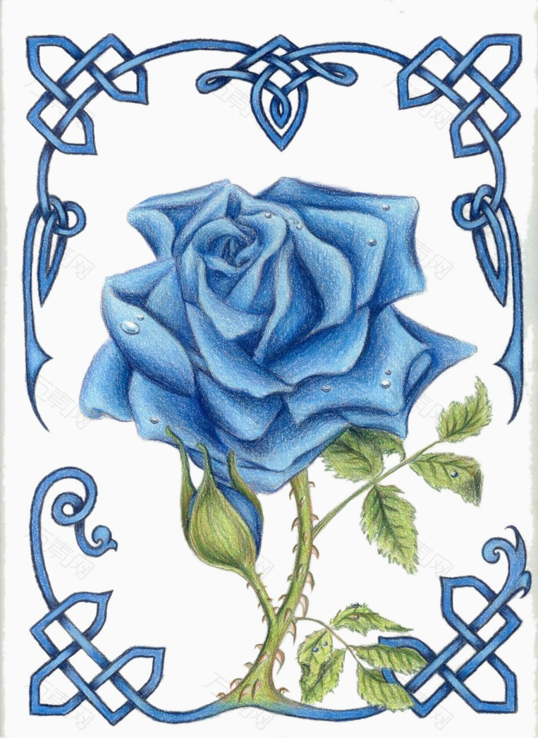 蓝色的玫瑰花和中国风的边框