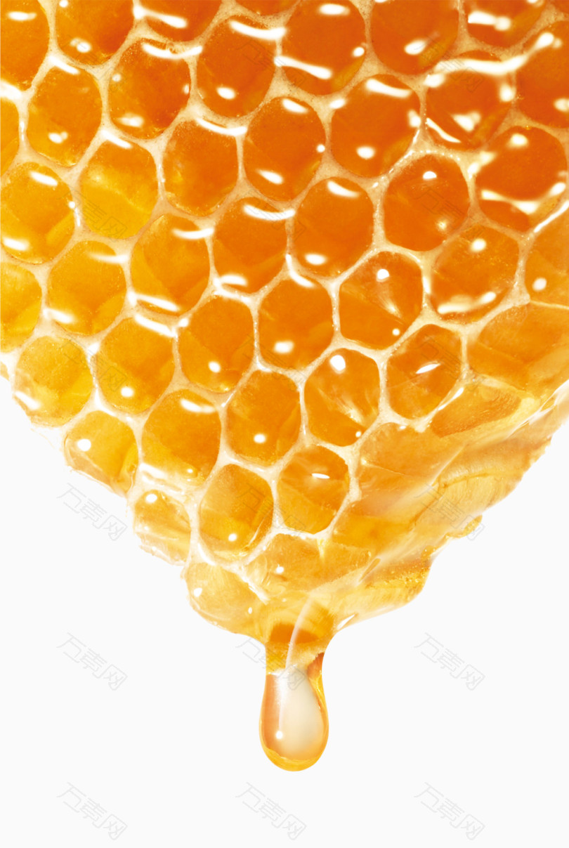 美味的蜂蜜