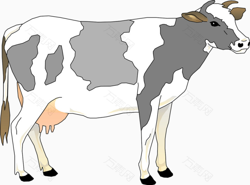 农场奶牛