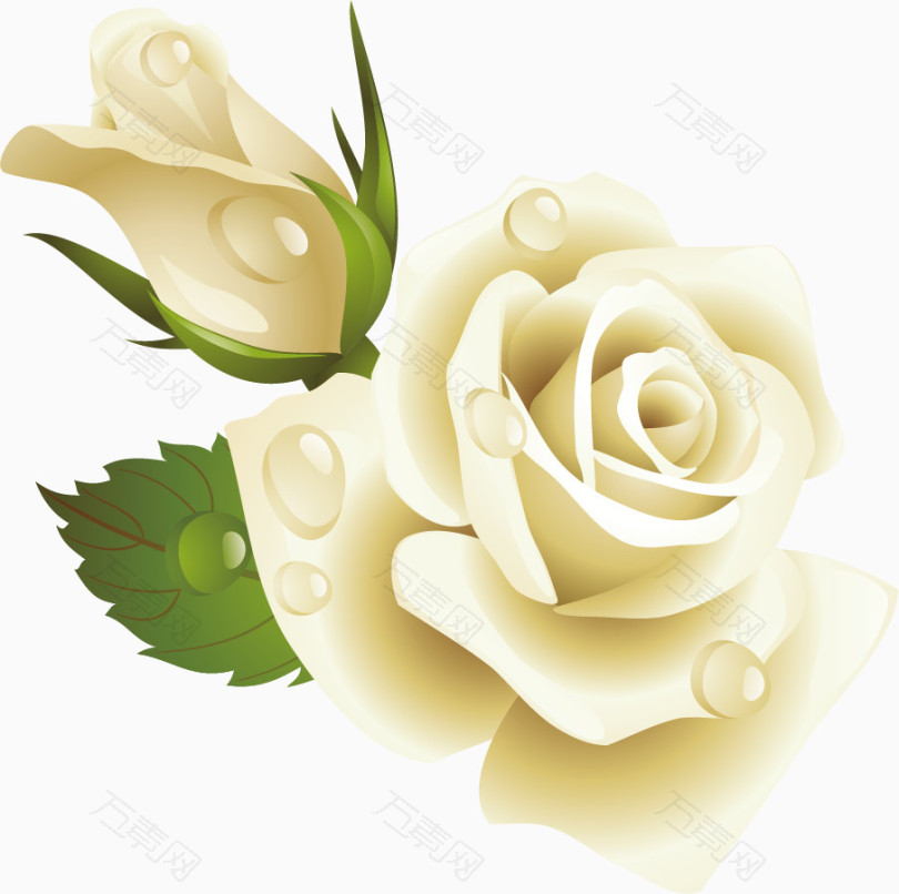 白玫瑰装饰元素