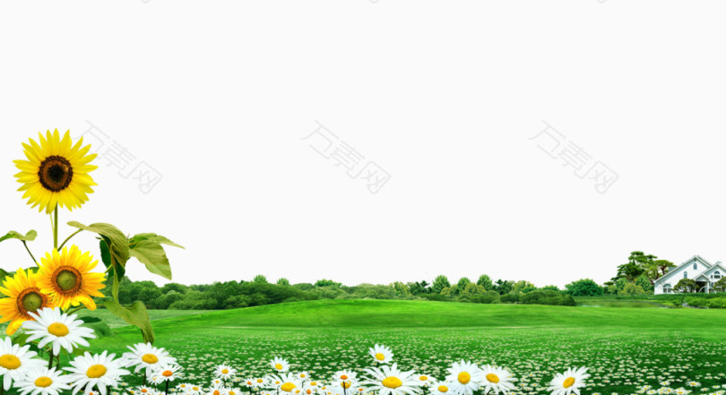 草地花朵背景素材