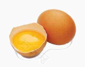 鸡蛋素材