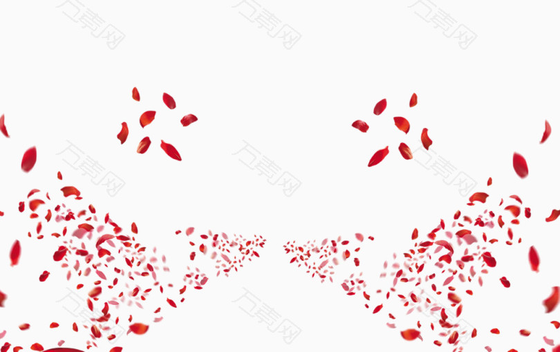 飞旋的红色玫瑰花瓣