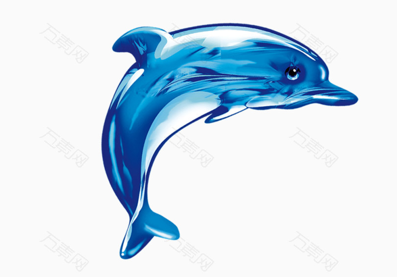 海豚手绘