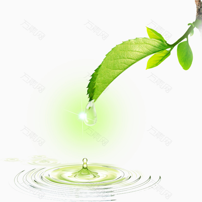 绿色清新叶片水滴素材