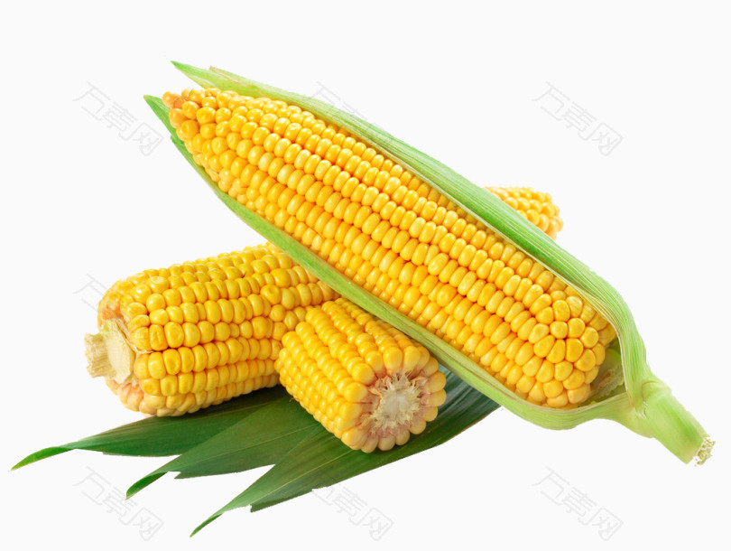 高清玉米