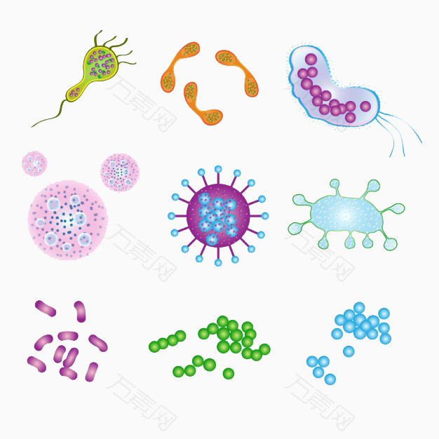 细胞和病毒的形态