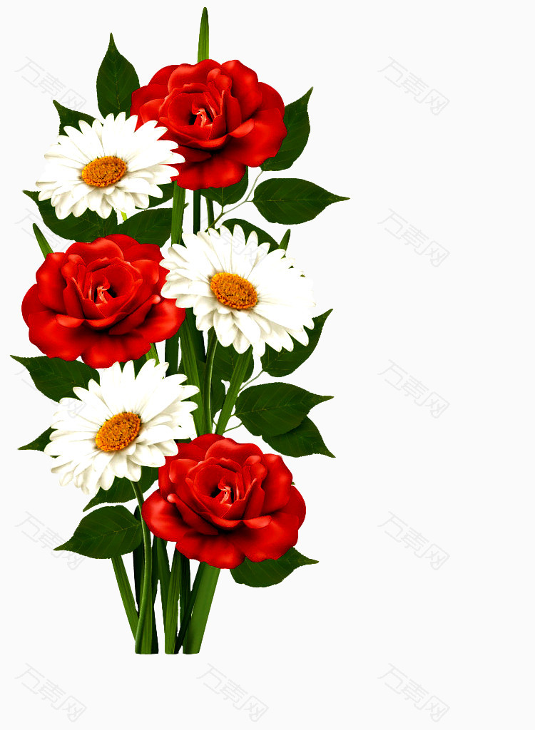 红玫瑰白菊花手绘PNG素材