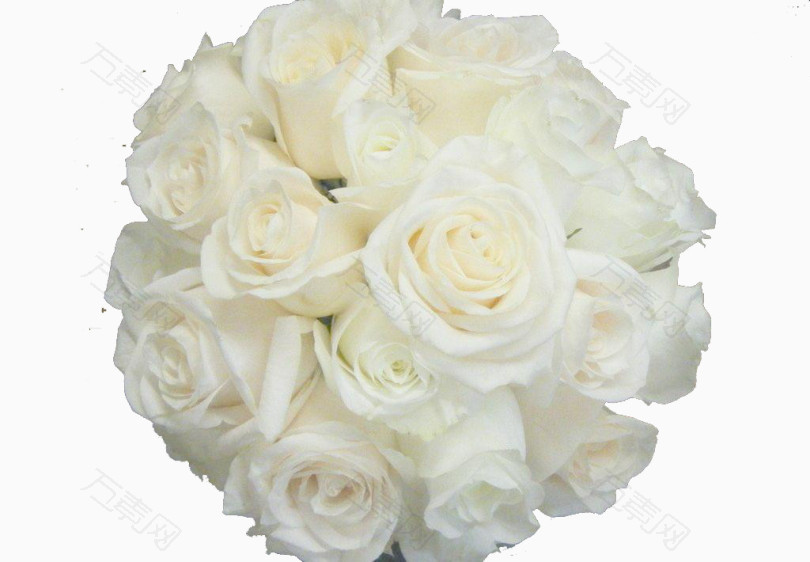 白玫瑰花花束素材背景