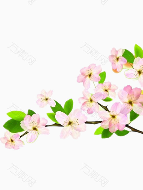 手绘淡粉色的海棠花