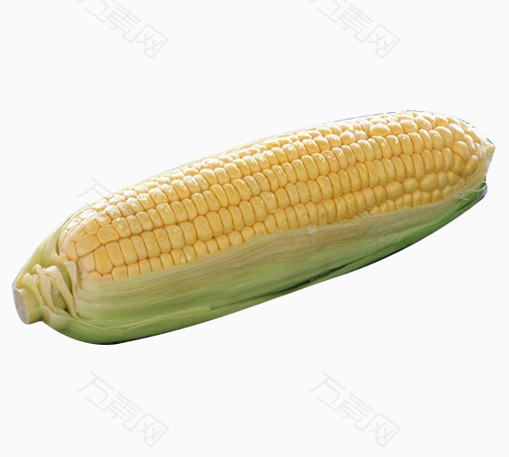 玉米png图片素材