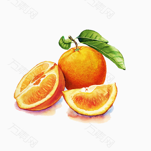 写实画风橘子