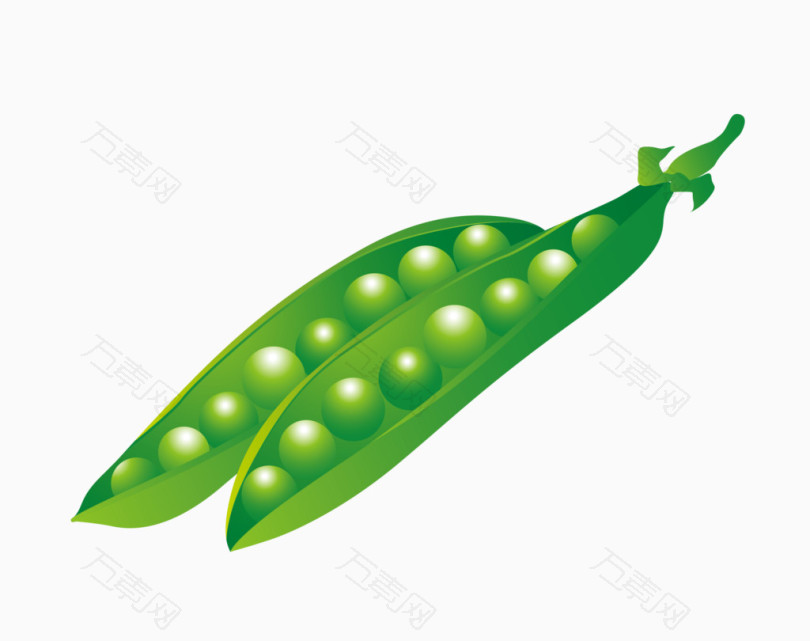 绿色豌豆矢量图
