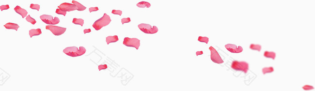 粉色梦幻漂浮玫瑰花瓣