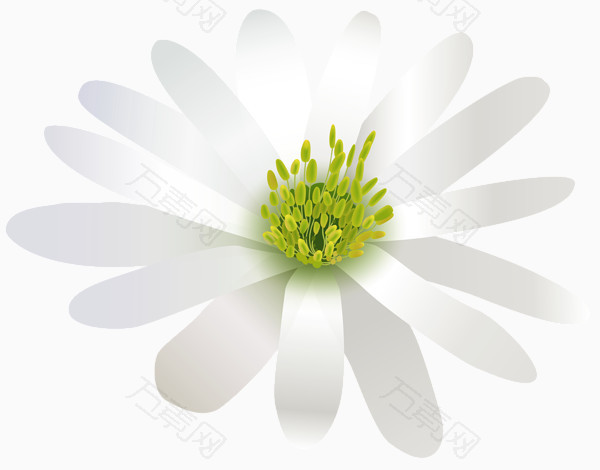 白色花朵立体花
