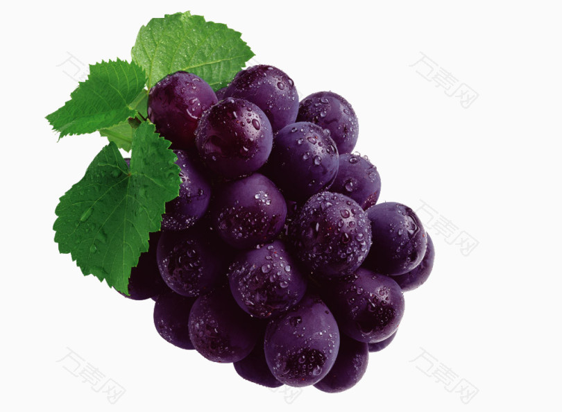 美味紫葡萄图片素材