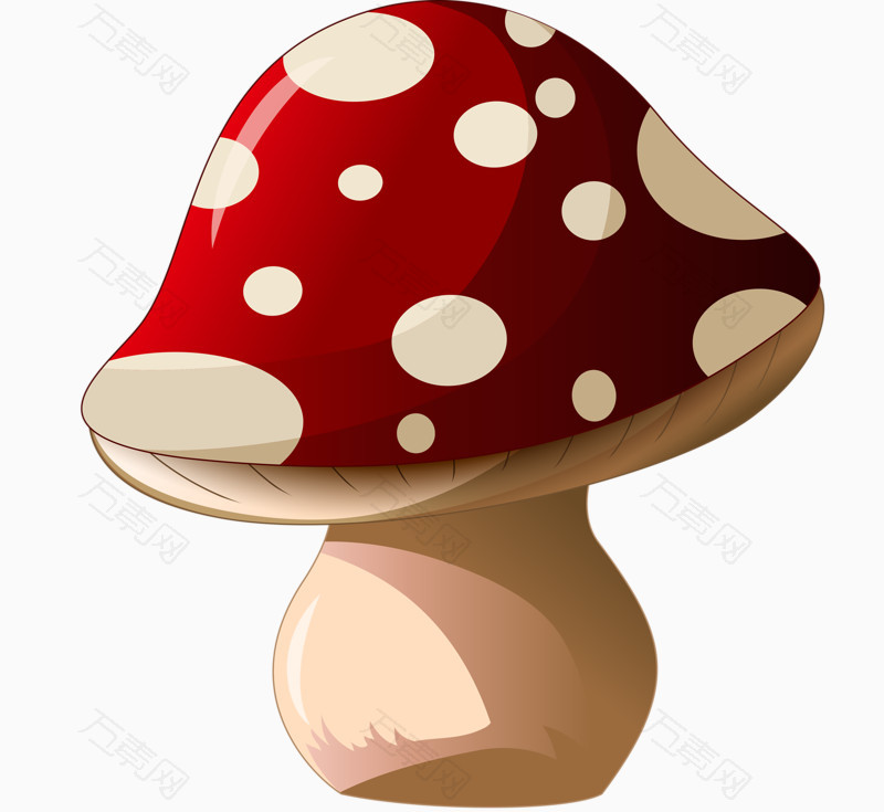 雨季的蘑菇