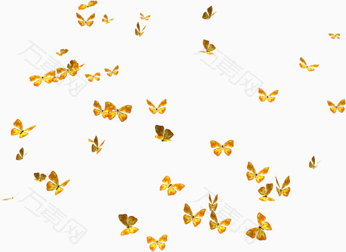 一群飞舞的黄色蝴蝶