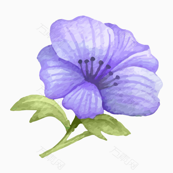 手绘水彩紫色花朵图片