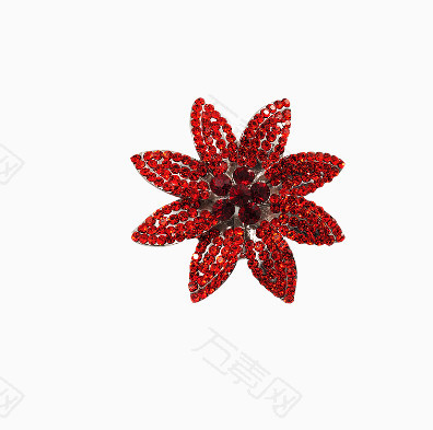 红色钻石花
