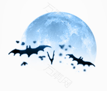 蓝色月亮下的蝙蝠