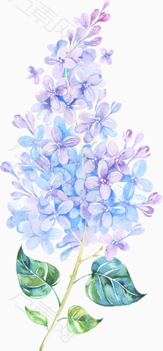 蓝色手绘花束