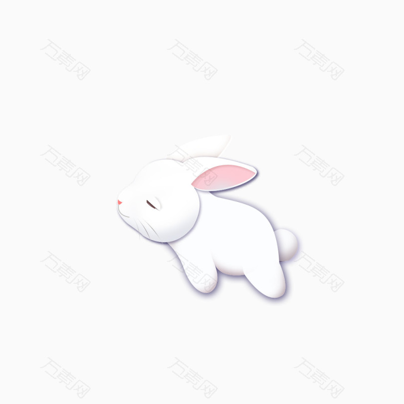 玉兔兔子