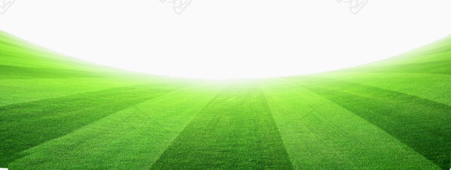 绿色草地足球场