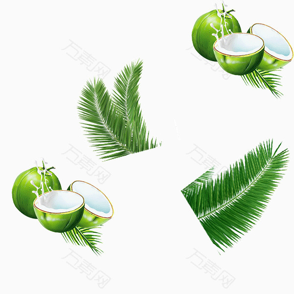绿色椰子切开的椰子椰子饮料椰子树叶