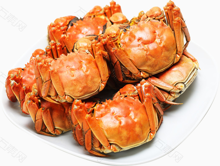 丰富的食物螃蟹