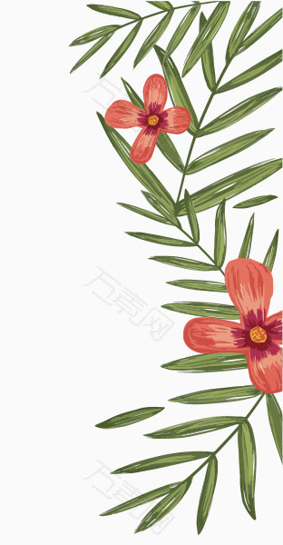 手绘热带植物花纹装饰