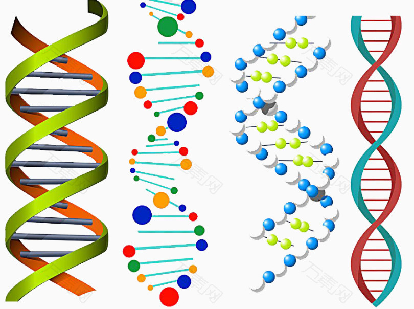 彩色DNA双螺旋图形