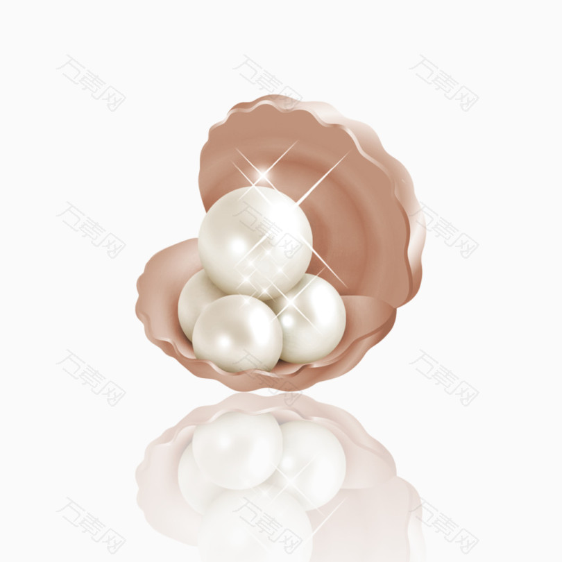 白色珍珠贝壳素材