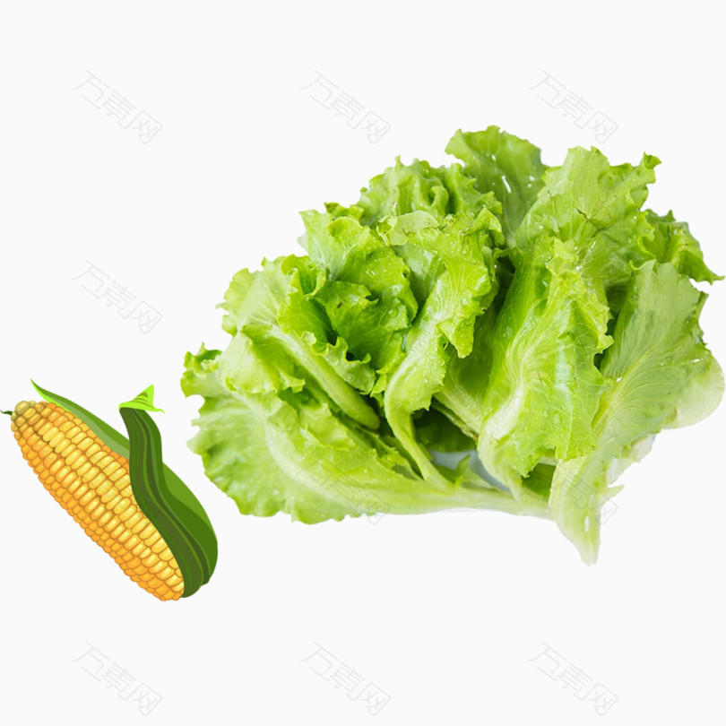 青菜玉米