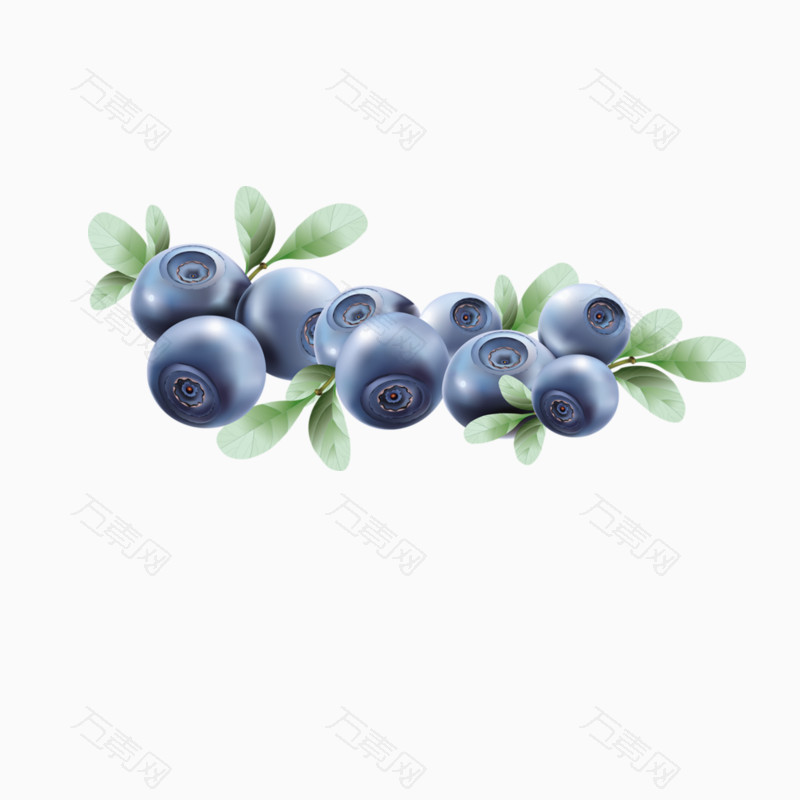 蓝莓果实图
