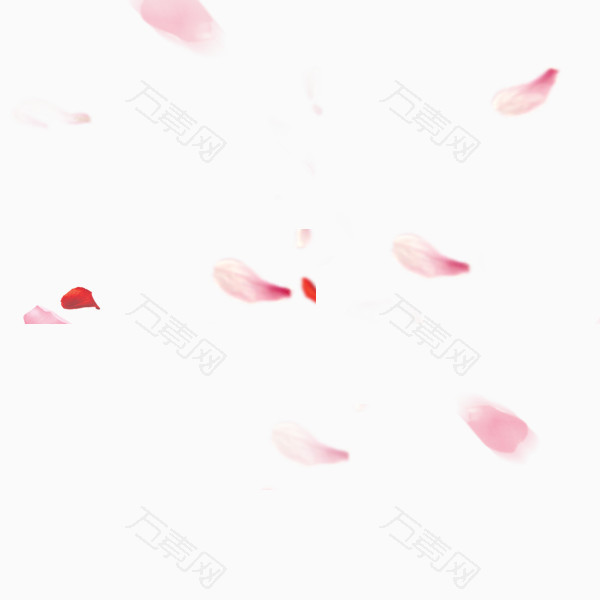 浪漫粉色玫瑰花瓣