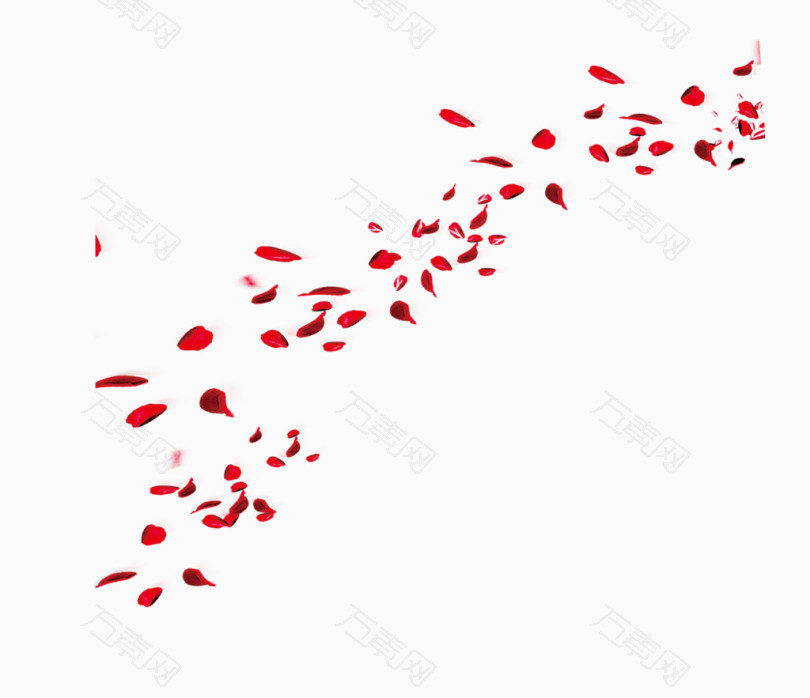 红色飞翔装饰鲜花