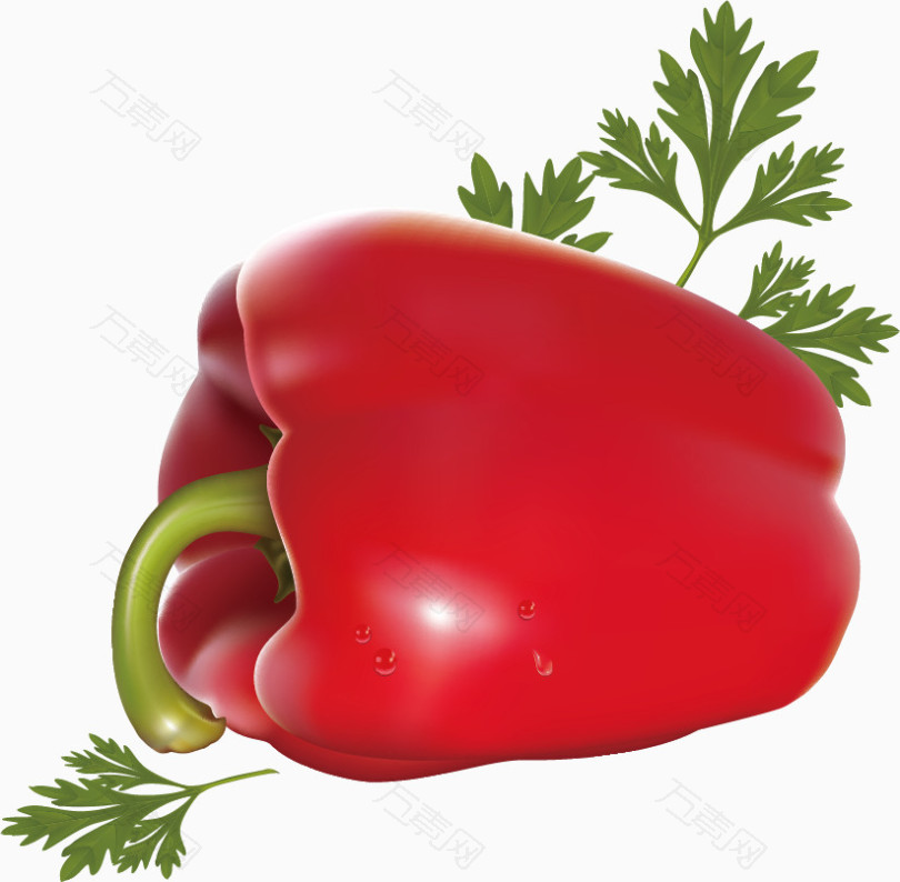 精美蔬菜红辣椒