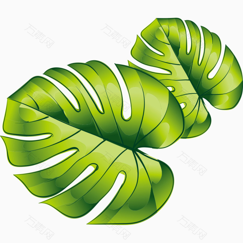 卡通植物绿叶装饰