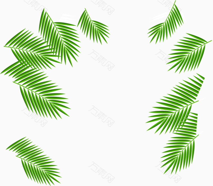 边角椰树树叶装饰