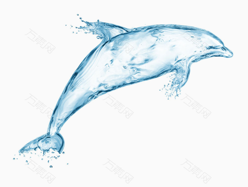 水海豚