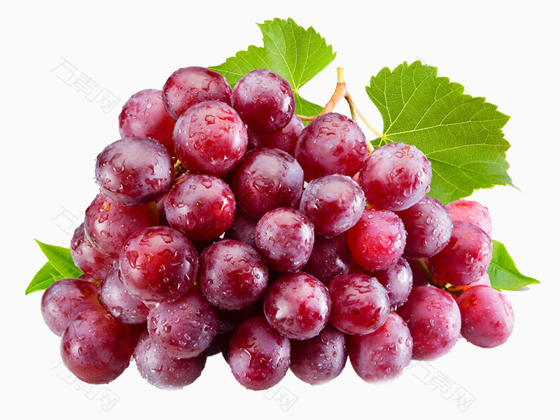 红紫色的葡萄